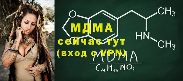 шишки Инсар