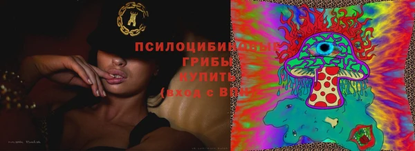 гашик Иннополис