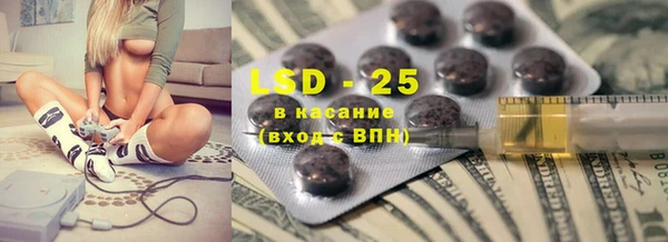 шишки Инсар