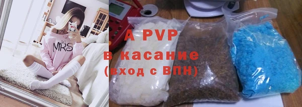 шишки Инсар