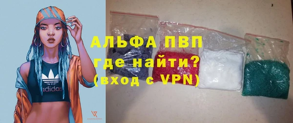 шишки Инсар