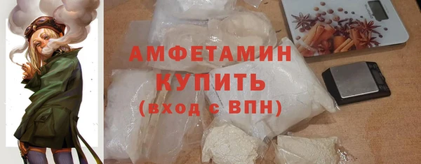 шишки Инсар