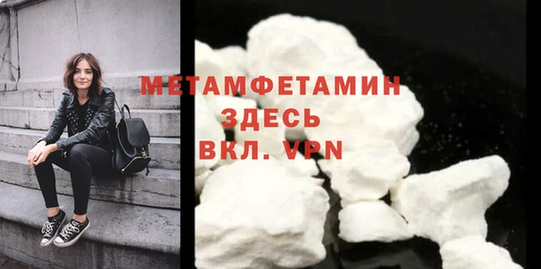 шишки Инсар