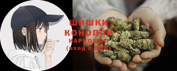 шишки Инсар