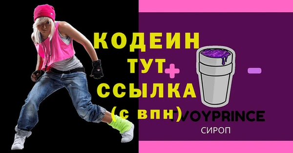 соль ск Инта