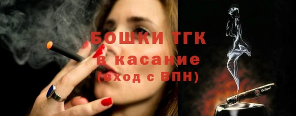 шишки Инсар