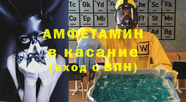 шишки Инсар