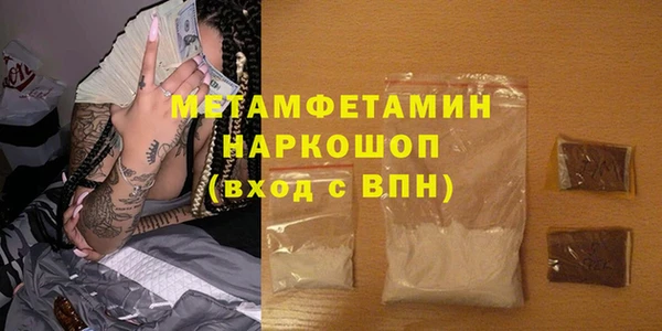 шишки Инсар