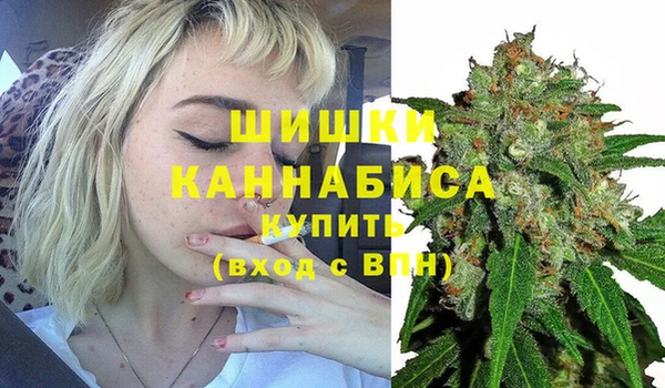 шишки Инсар