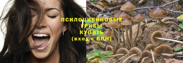 шишки Инсар