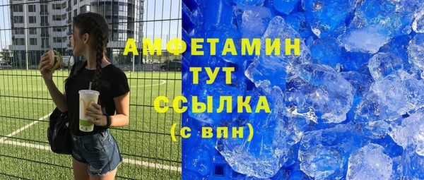шишки Инсар