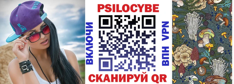 Купить  Голицыно  Псилоцибиновые грибы Magic Shrooms 